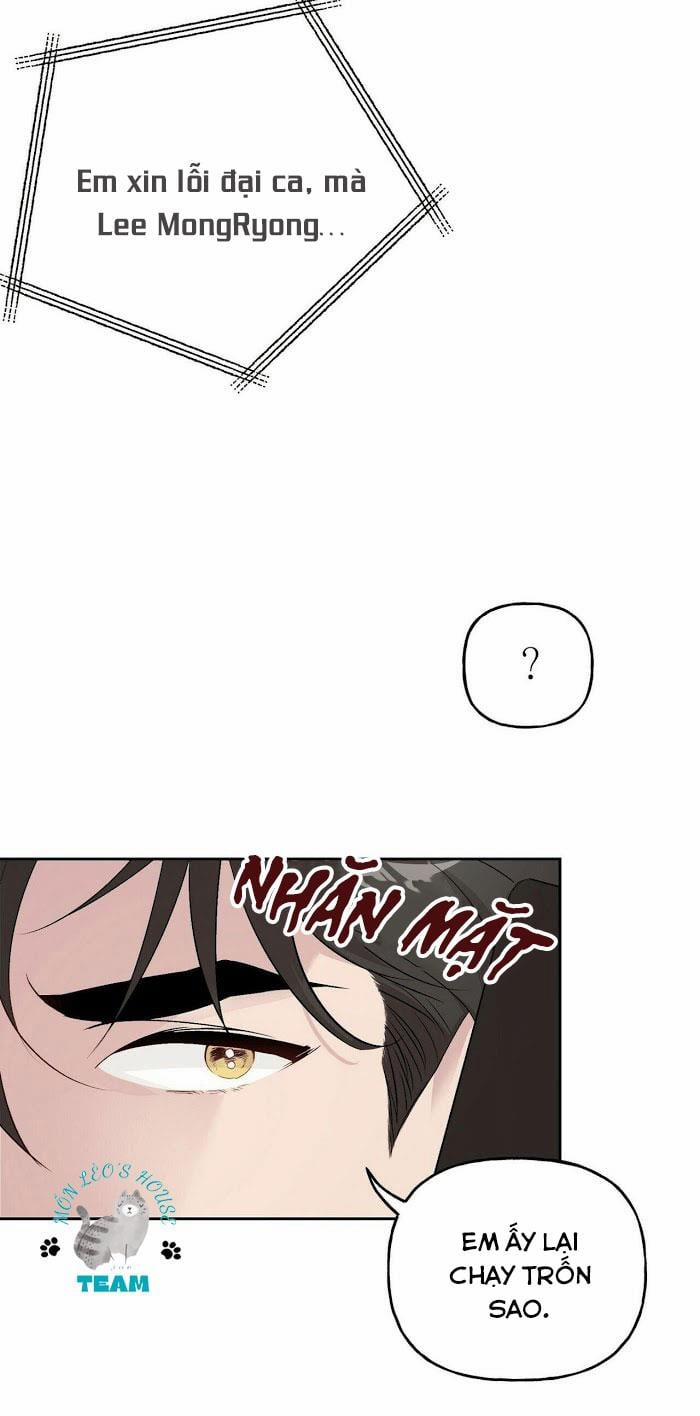 Assorted Wildness 12 trang 20