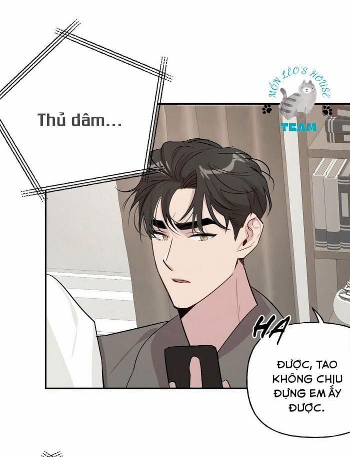 Assorted Wildness 12 trang 22