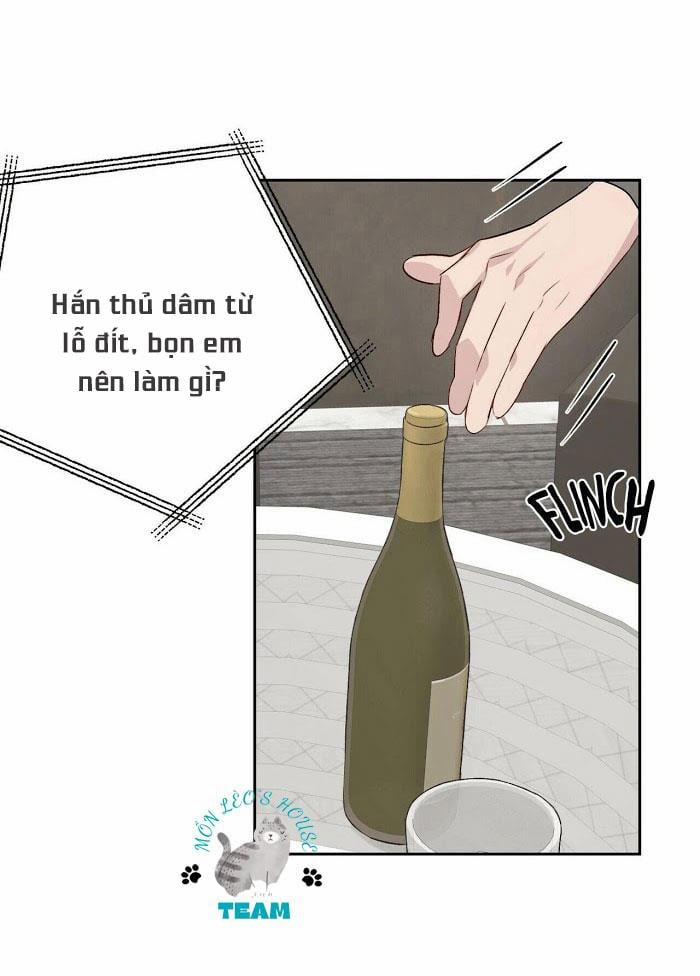 Assorted Wildness 12 trang 24