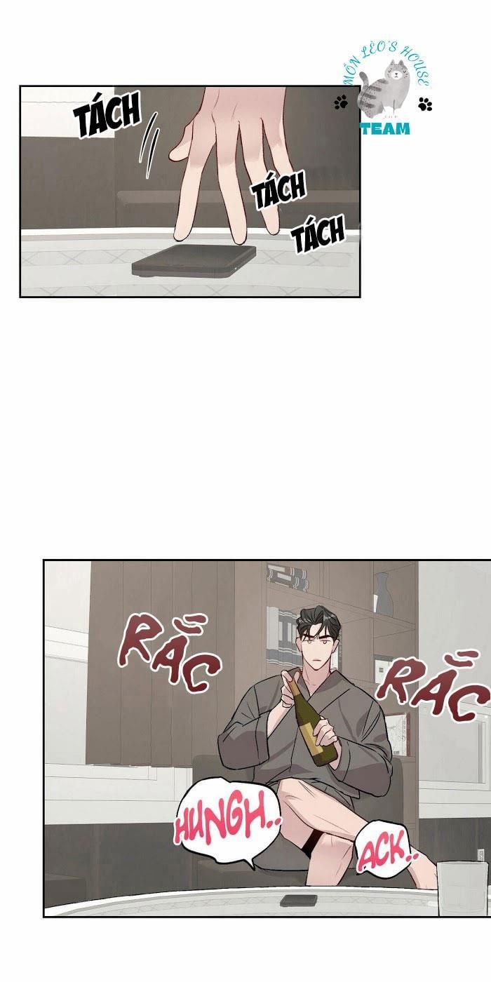 Assorted Wildness 12 trang 26