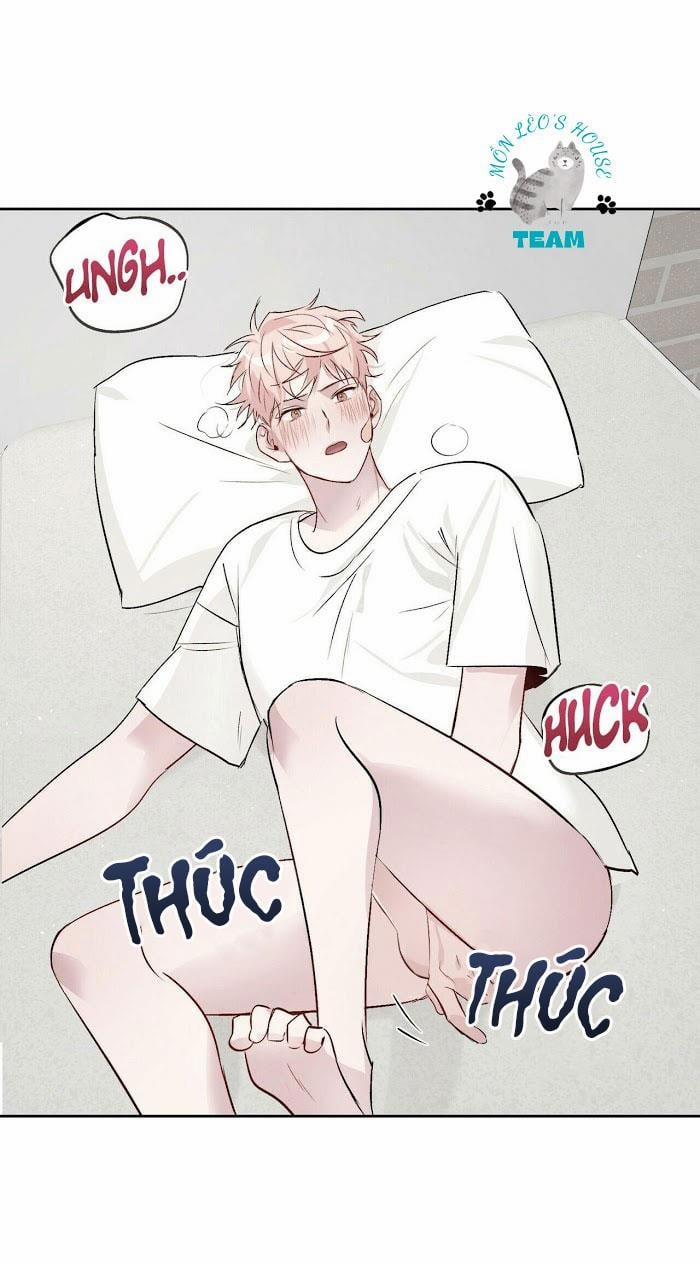 Assorted Wildness 12 trang 27