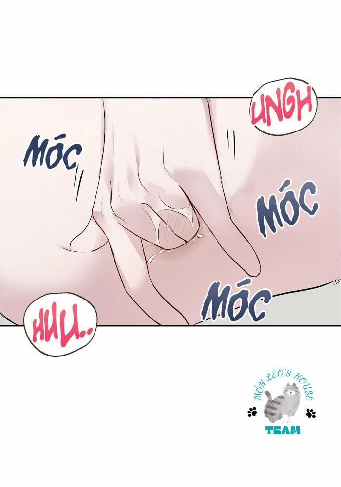 Assorted Wildness 12 trang 28