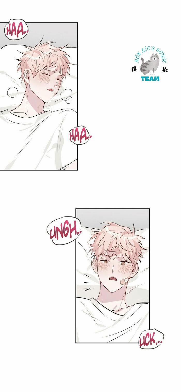 Assorted Wildness 12 trang 29