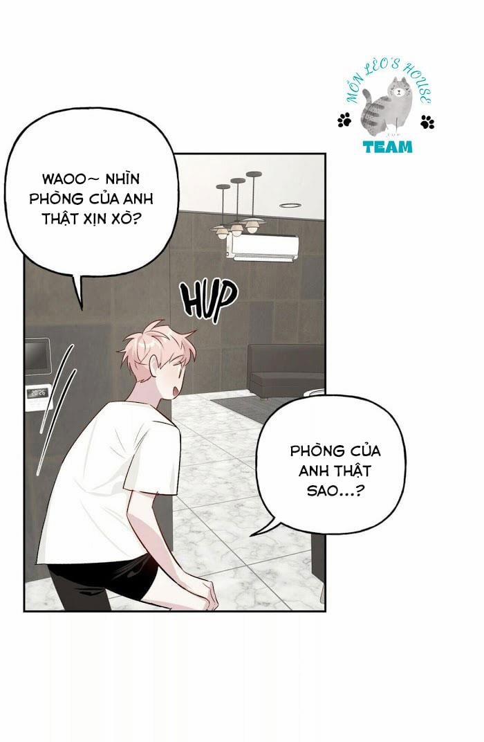 Assorted Wildness 12 trang 37