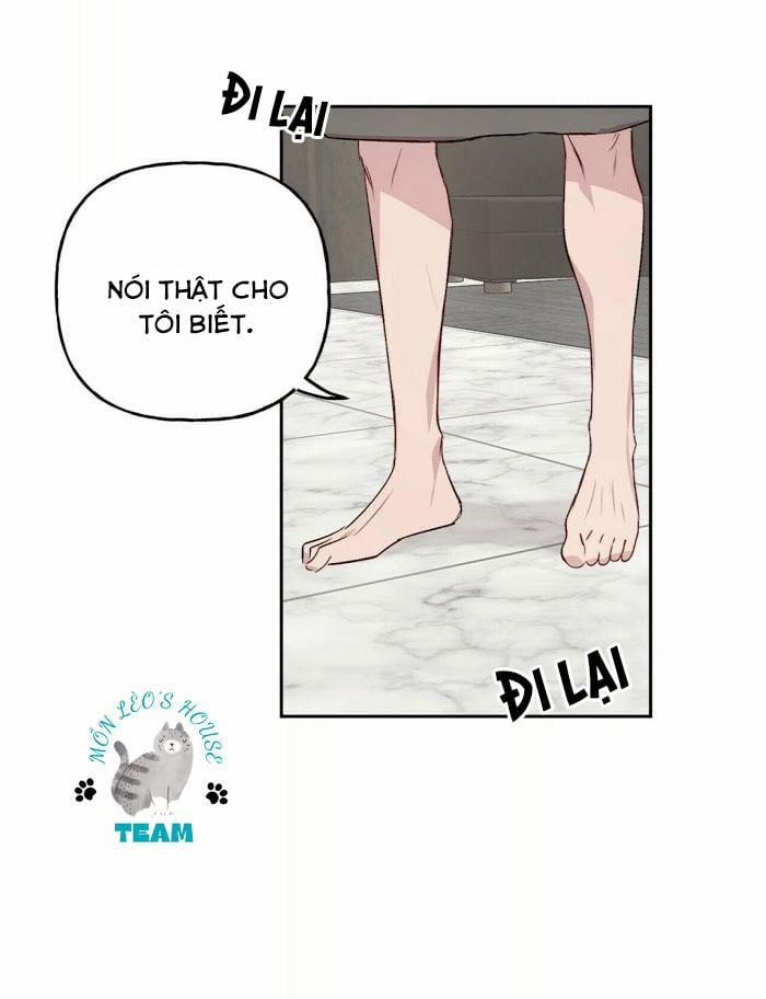 Assorted Wildness 12 trang 39