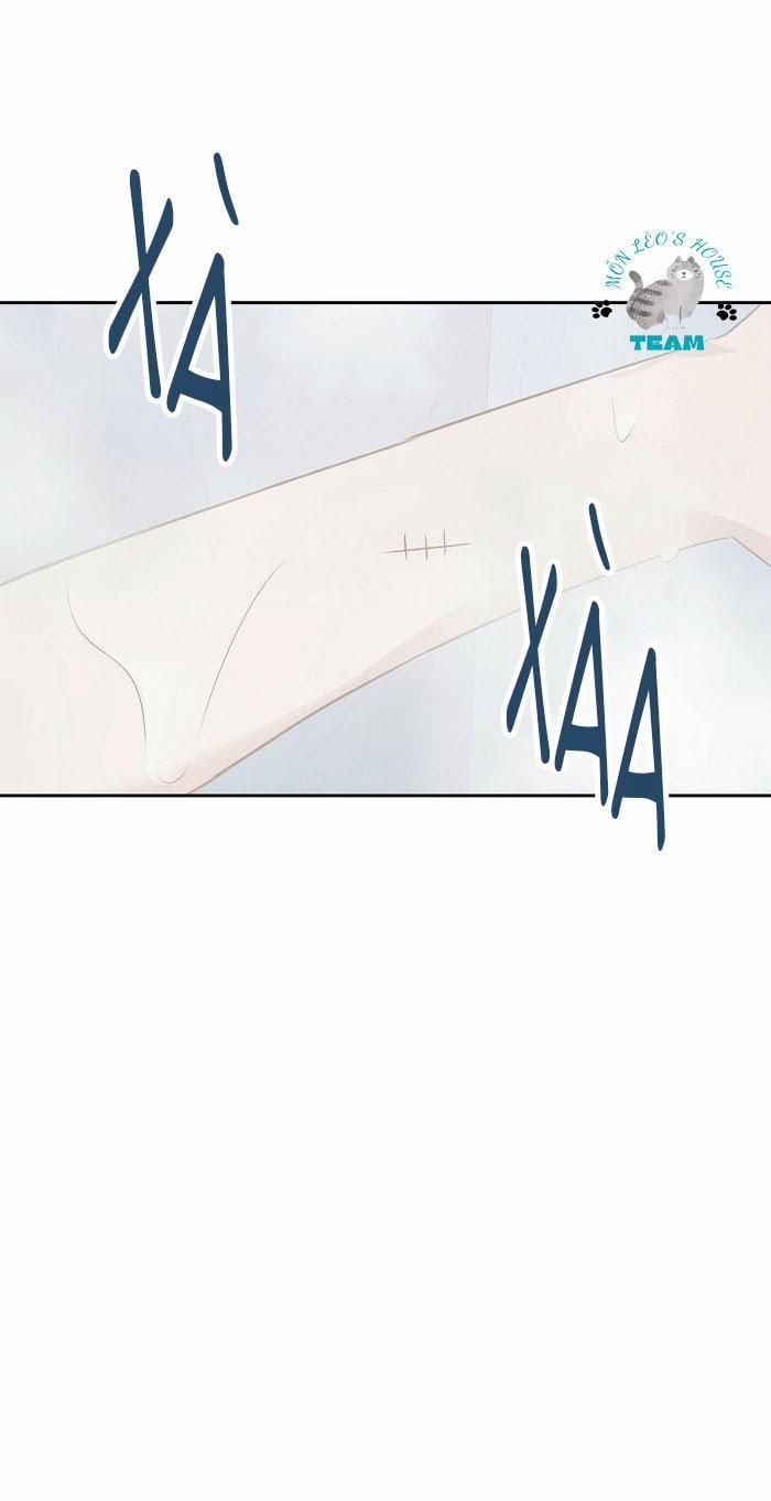 Assorted Wildness 12 trang 4