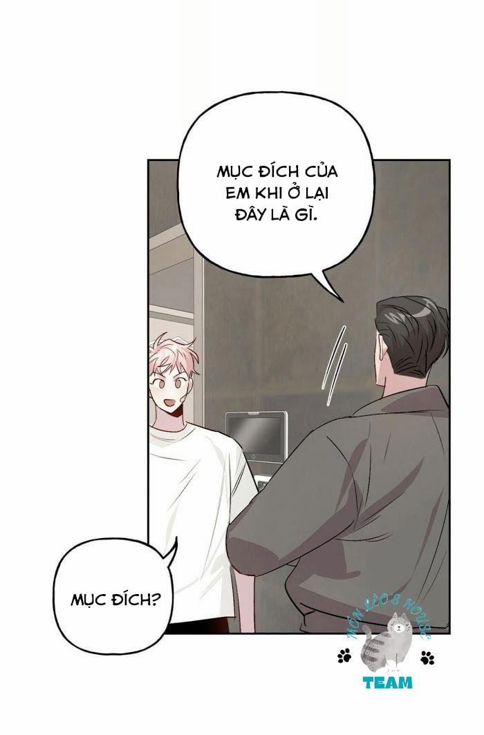 Assorted Wildness 12 trang 40