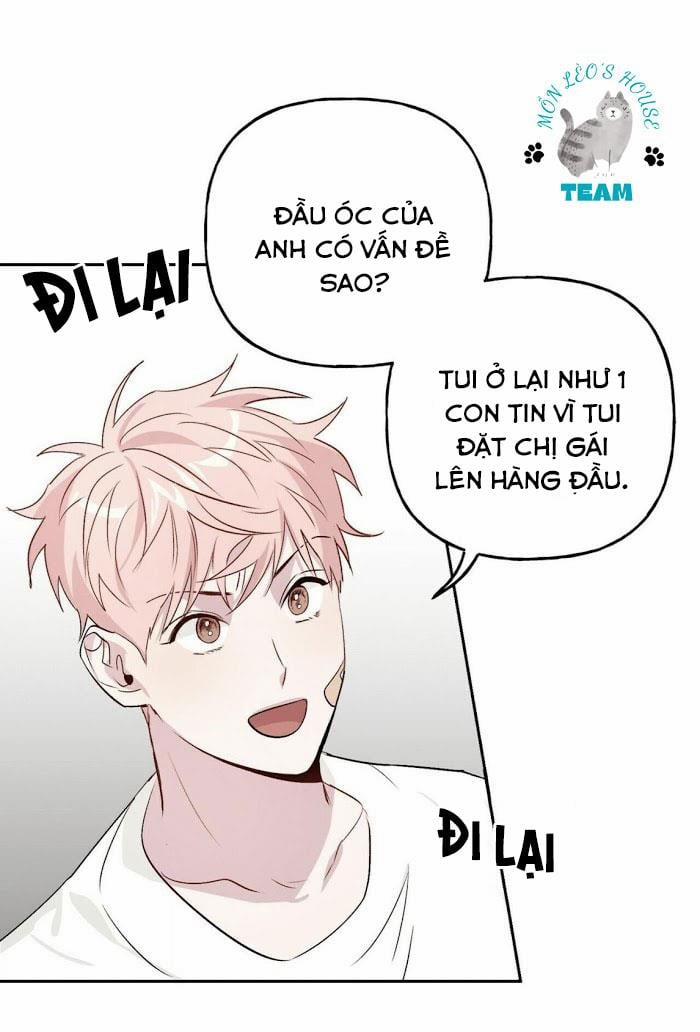 Assorted Wildness 12 trang 41