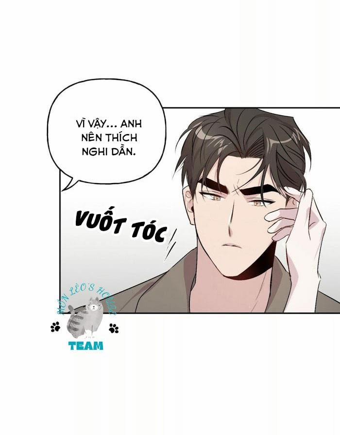 Assorted Wildness 12 trang 43