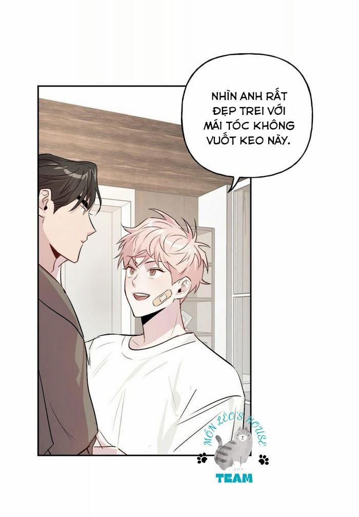 Assorted Wildness 12 trang 44