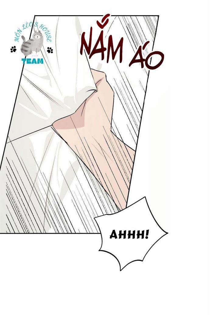 Assorted Wildness 12 trang 46