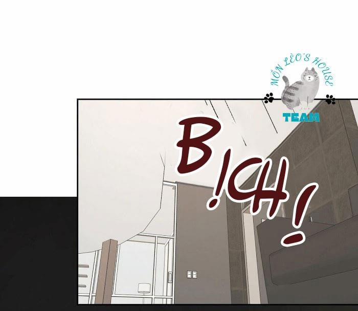 Assorted Wildness 12 trang 47