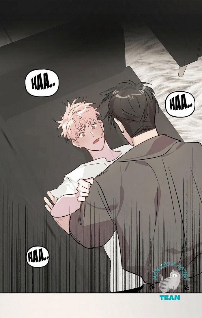 Assorted Wildness 12 trang 48