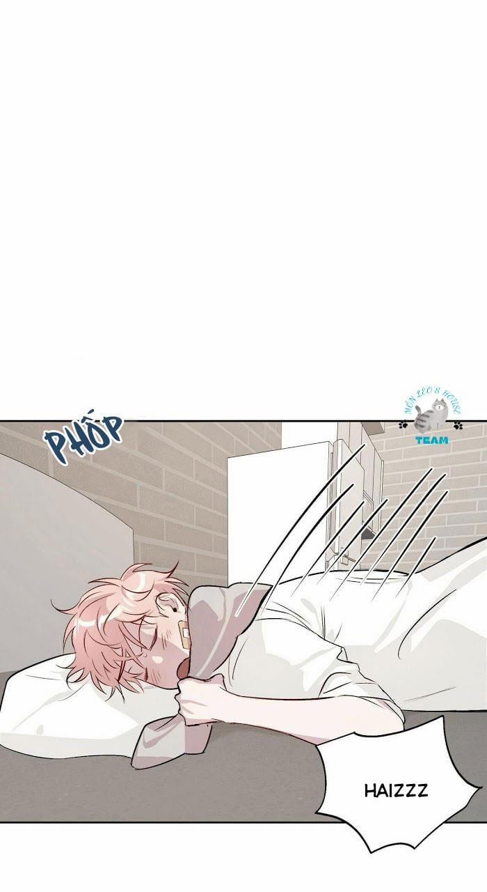 Assorted Wildness 12 trang 5