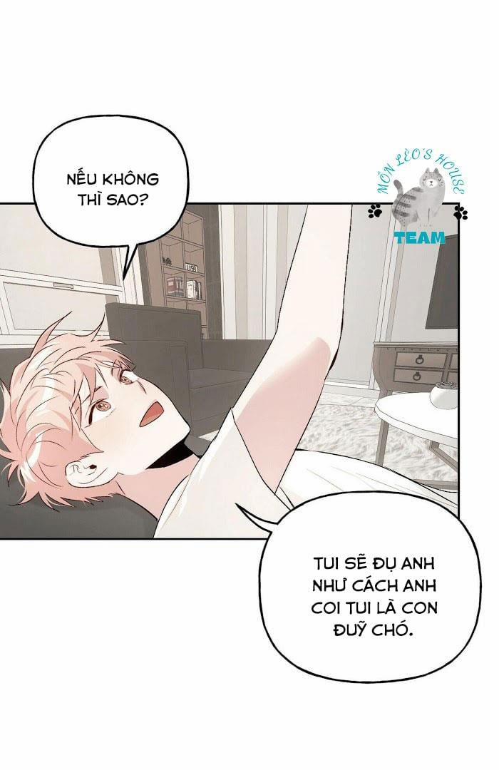 Assorted Wildness 12 trang 50