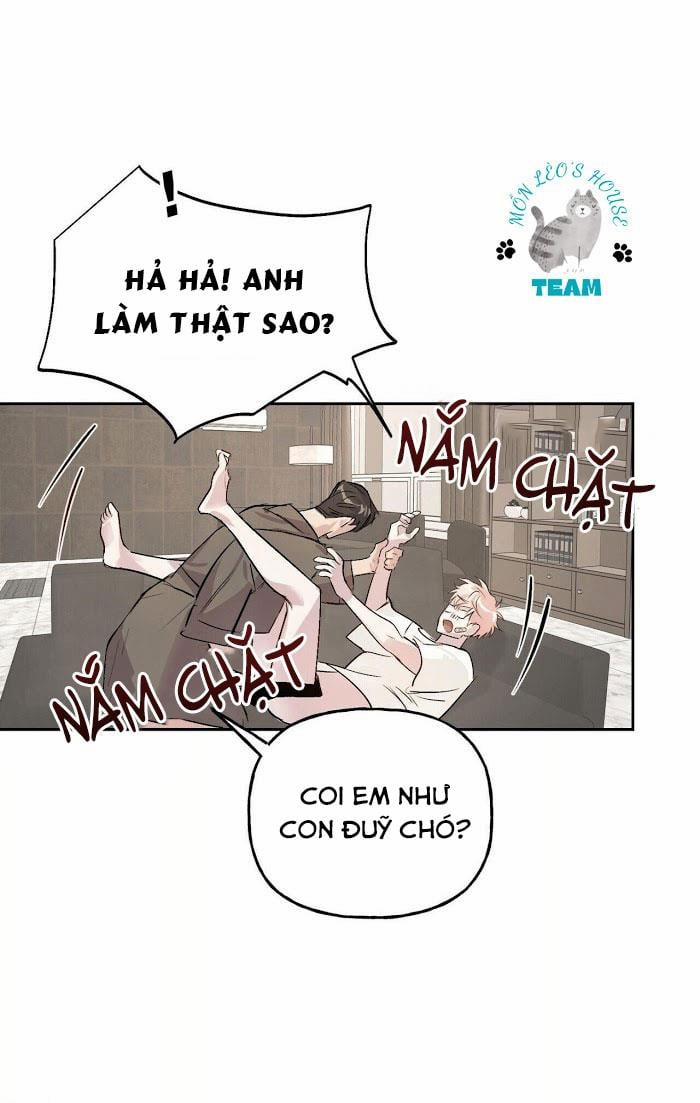 Assorted Wildness 12 trang 52