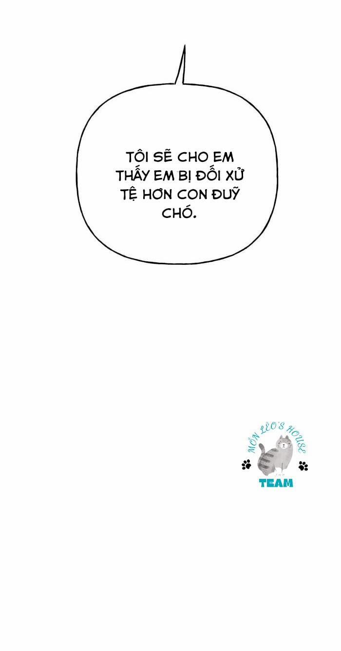 Assorted Wildness 12 trang 54