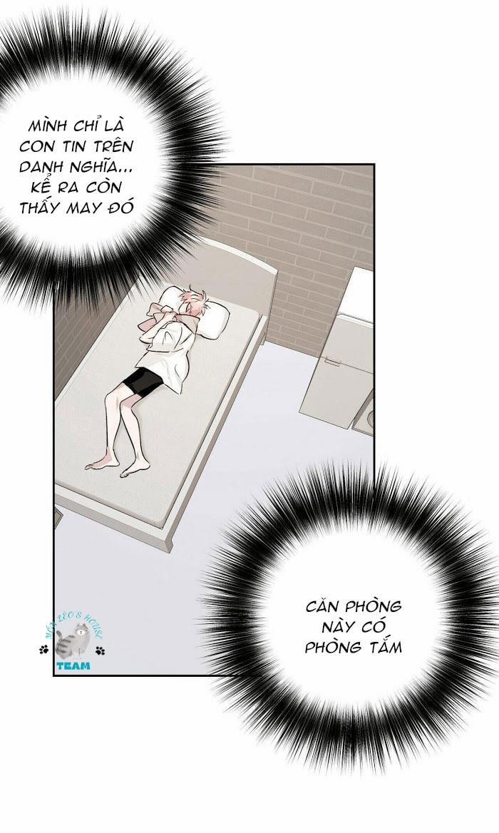 Assorted Wildness 12 trang 6