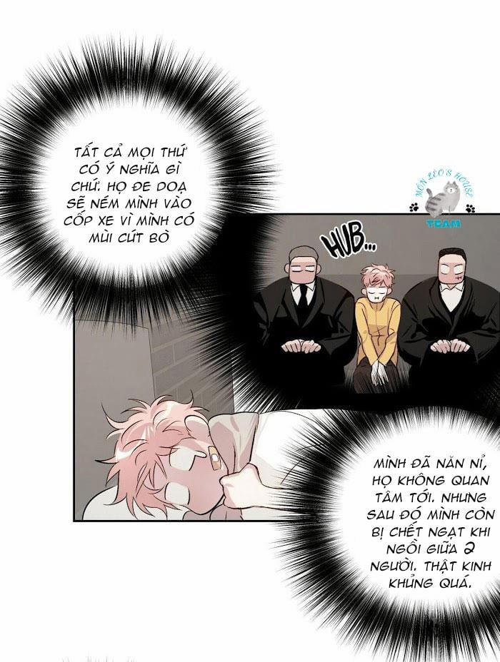 Assorted Wildness 12 trang 7