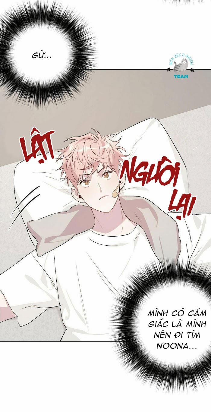 Assorted Wildness 12 trang 8