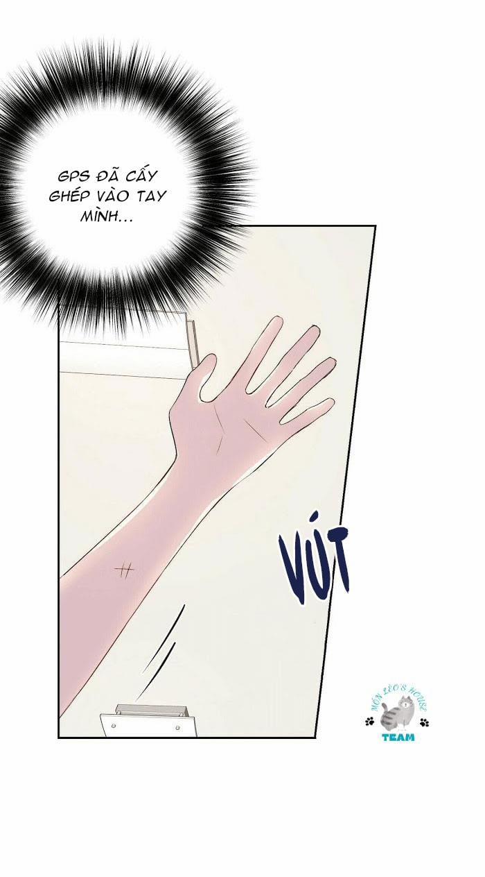 Assorted Wildness 12 trang 9