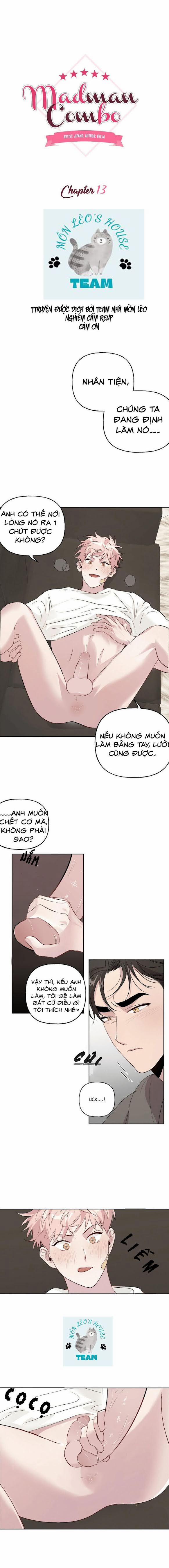 Assorted Wildness 13 trang 2