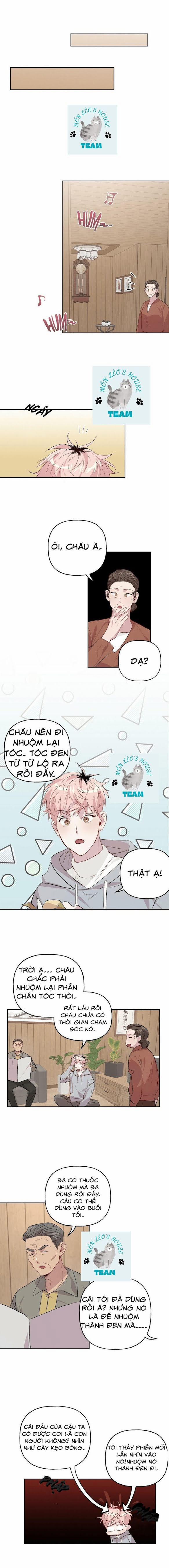 Assorted Wildness 13 trang 4