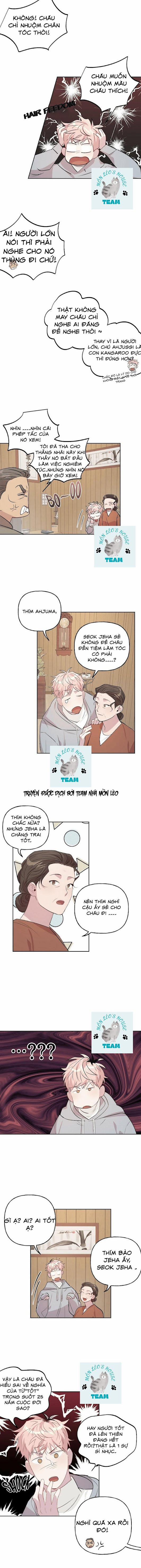 Assorted Wildness 13 trang 5