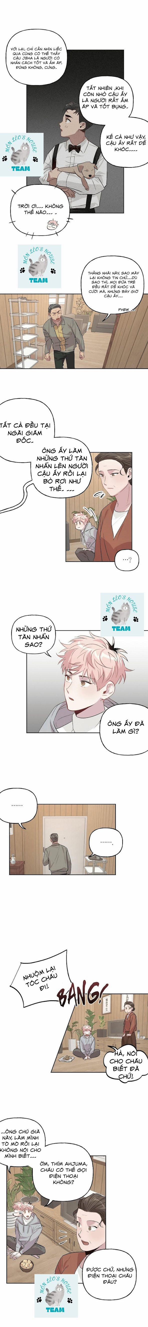 Assorted Wildness 13 trang 6