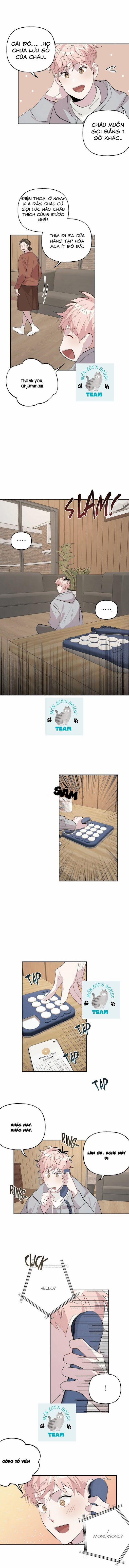 Assorted Wildness 13 trang 7