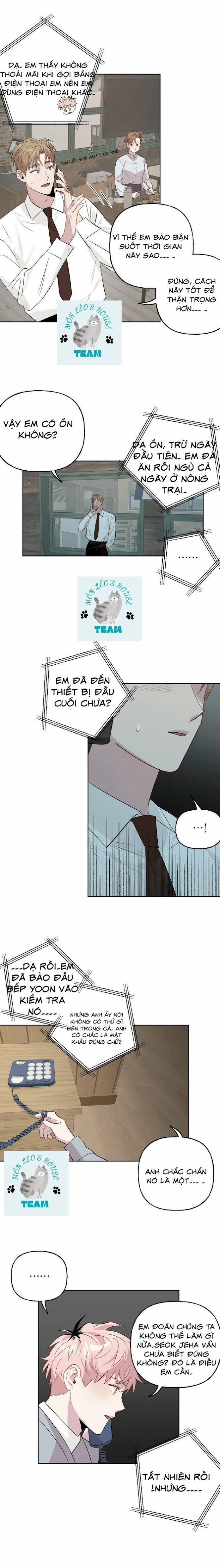 Assorted Wildness 13 trang 8