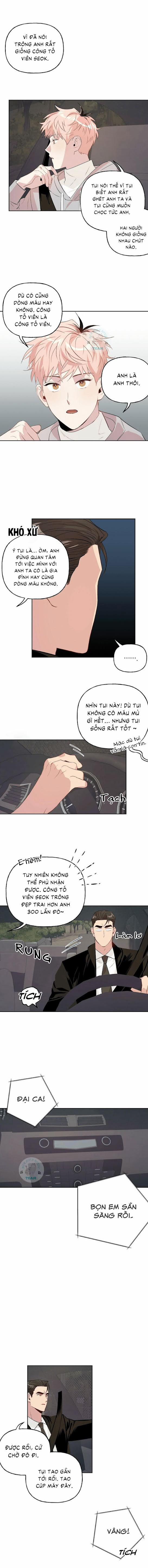 Assorted Wildness 14 trang 3