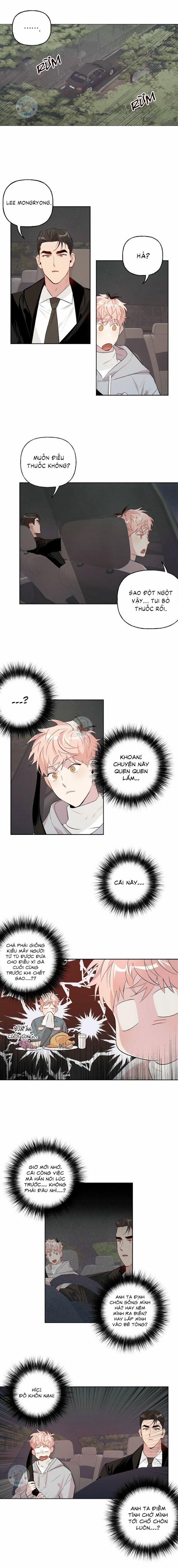 Assorted Wildness 14 trang 4