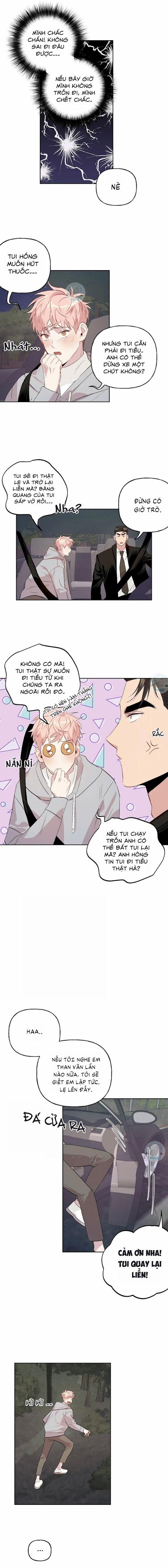 Assorted Wildness 14 trang 5