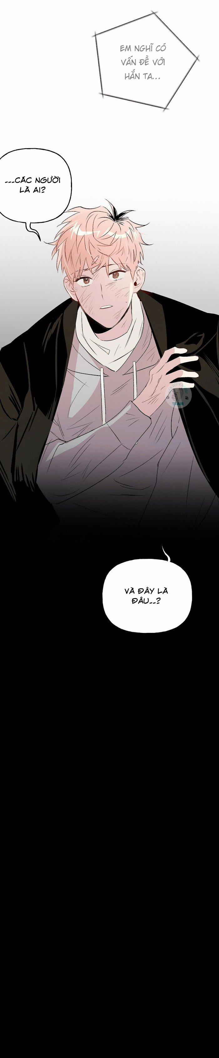 Assorted Wildness 14 trang 8