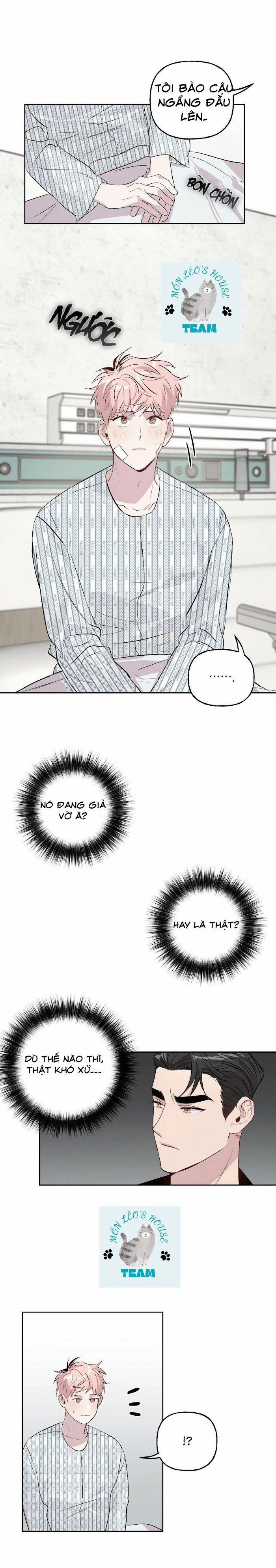 Assorted Wildness 15 trang 2