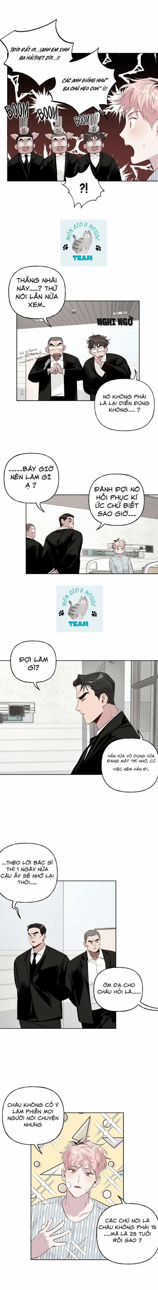 Assorted Wildness 15 trang 3