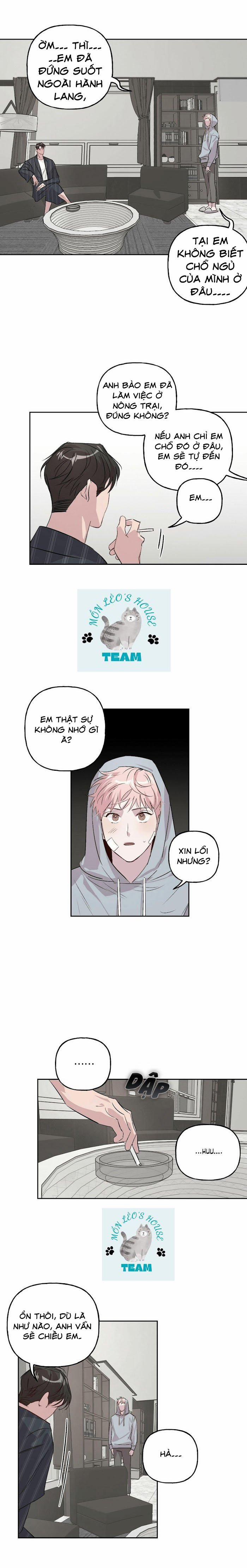 Assorted Wildness 15 trang 8