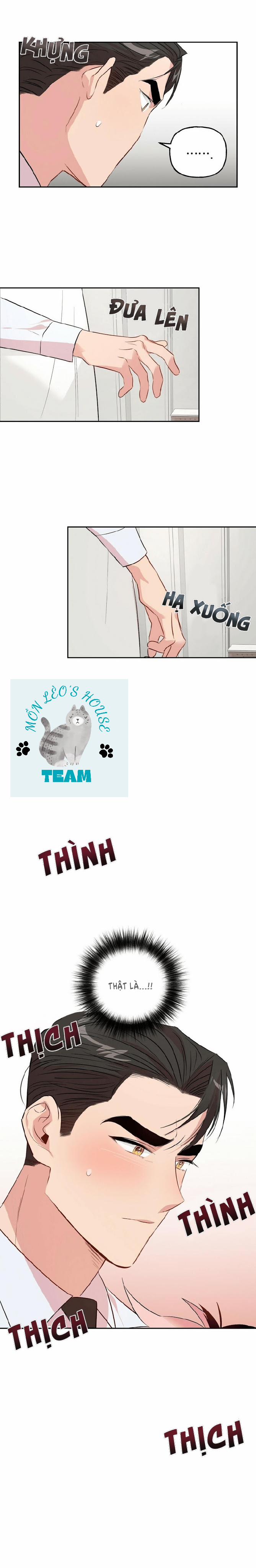 Assorted Wildness 17 trang 10