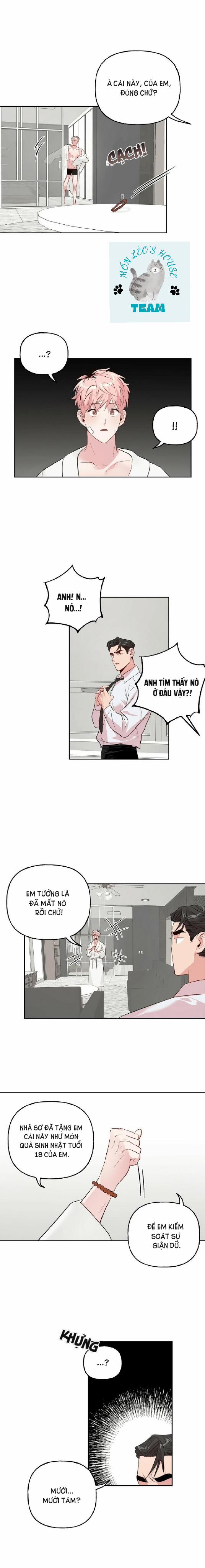 Assorted Wildness 17 trang 4