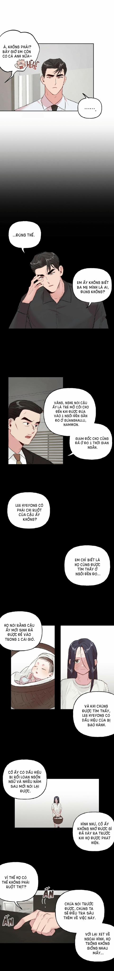 Assorted Wildness 17 trang 6