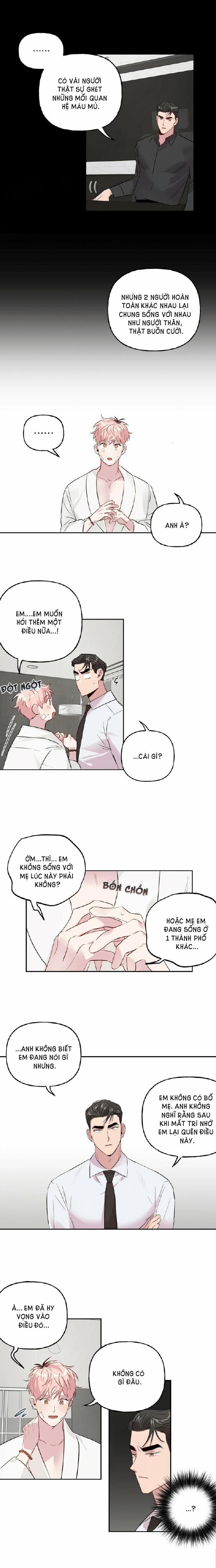 Assorted Wildness 17 trang 7