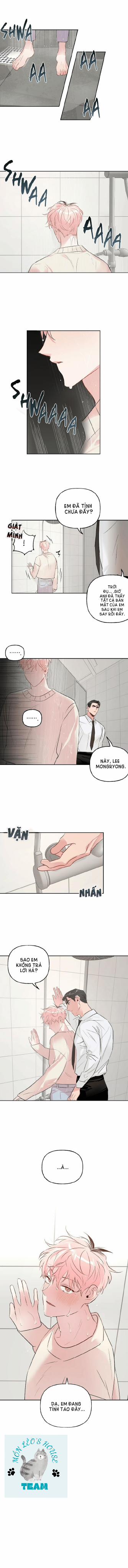 Assorted Wildness 19 trang 10