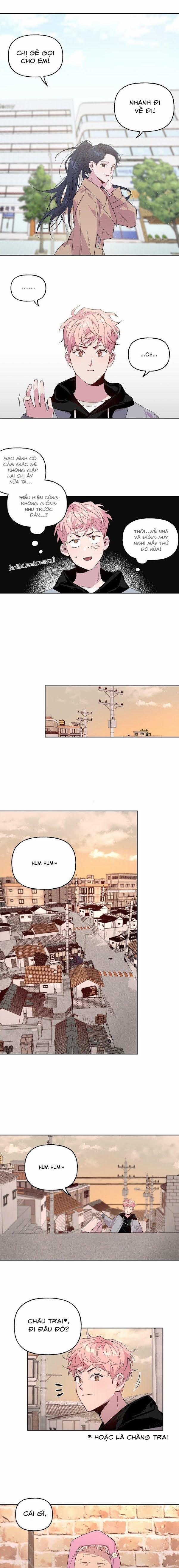 Assorted Wildness 2 trang 3