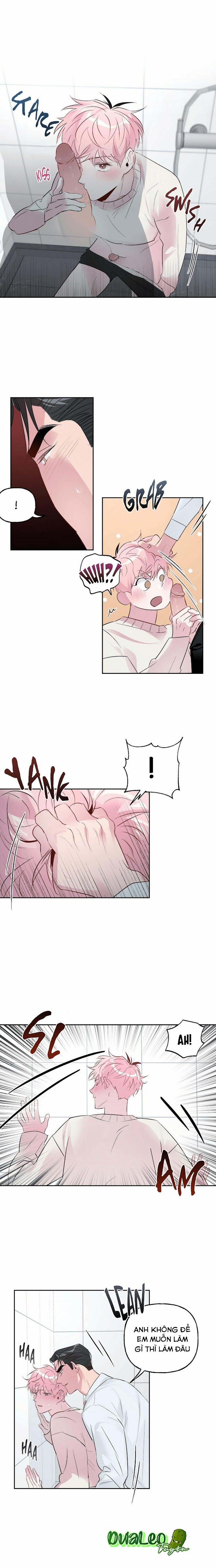 Assorted Wildness 20 trang 4