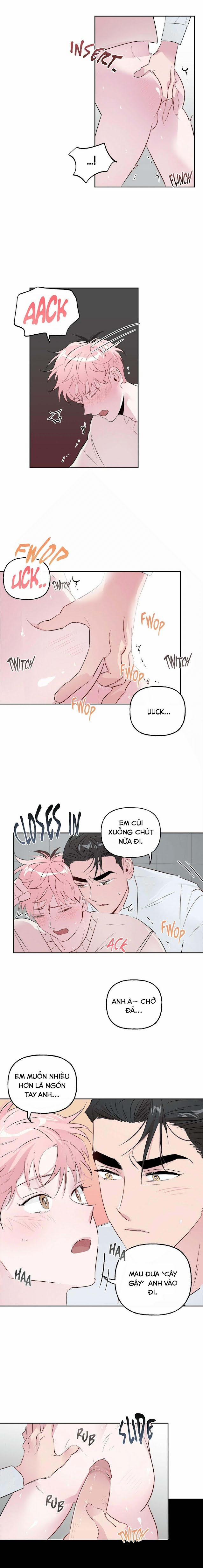 Assorted Wildness 20 trang 5