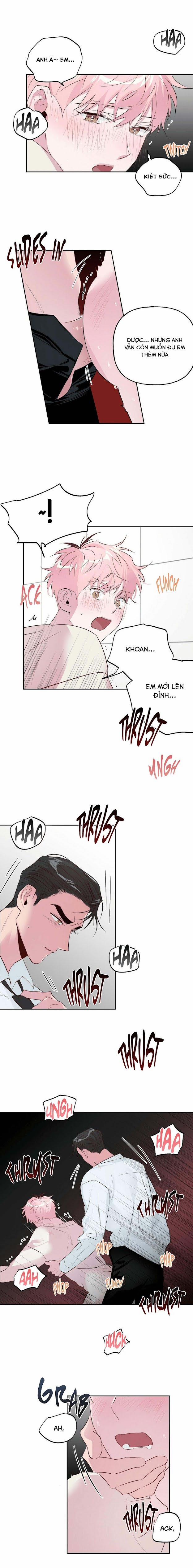 Assorted Wildness 20 trang 8