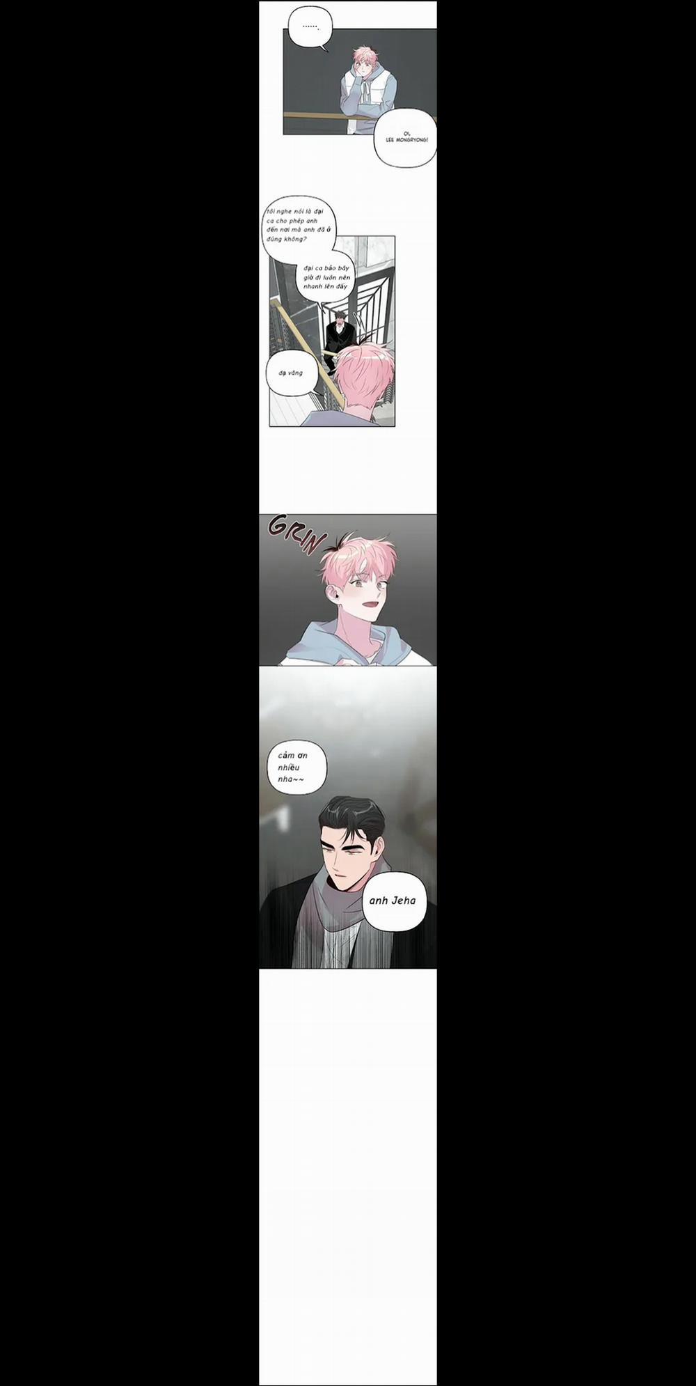 Assorted Wildness 21 trang 9