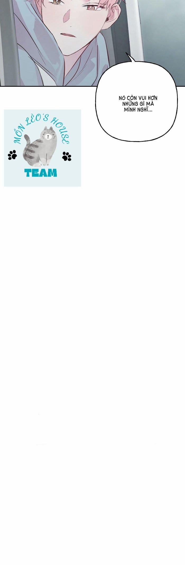 Assorted Wildness 22 trang 11