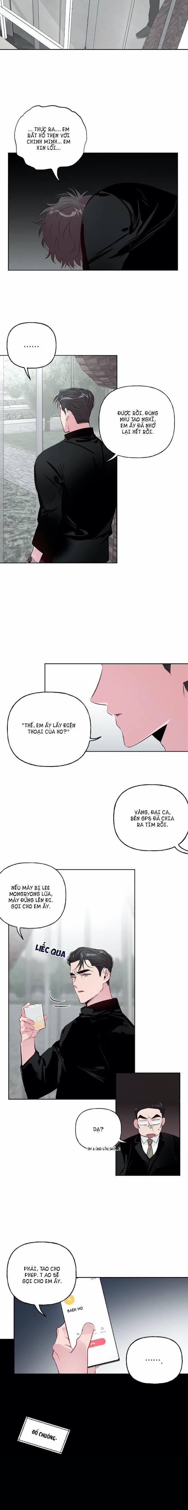 Assorted Wildness 22 trang 6